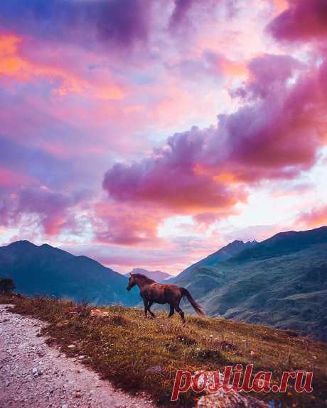 Публикация Kristina Makeeva↟Kotleta↟Timon в Instagram • Авг 28 2017 в 11:17 UTC 27 тыс. отметок «Нравится», 222 комментариев — Kristina Makeeva↟Kotleta↟Timon (@hobopeeba) в Instagram: «Caucasus mountains, North Osetia, Russia // Кавказ, Северная Осетия, Россия»