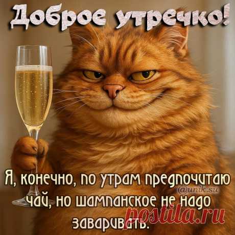 доброе утро картинки позитивные прикольные