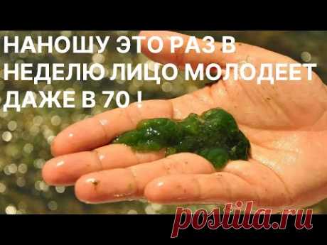 Наношу Это 1 Раз в Неделю Лицо Молодеет даже в 70! Рецепт