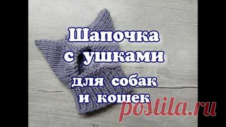 Выкройки одежды для собак,котов и кошек.