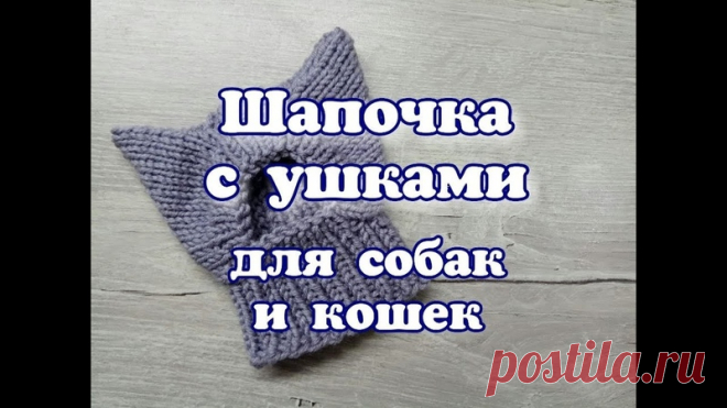 Выкройки одежды для собак,котов и кошек.