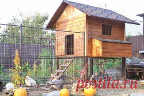 Делаем курятник