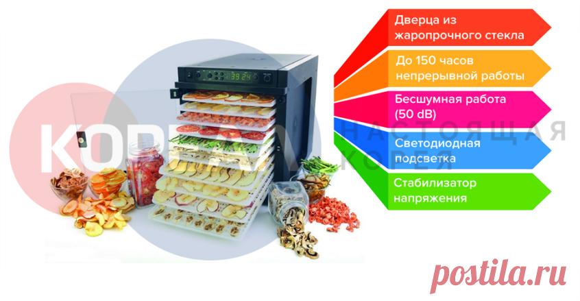 Дегидратор Sedona Express SD-6280 (пластиковые лотки)