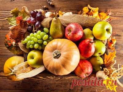 Дневник пермакультурного дизайнера. Занятие 9 - Устойчивое плодородие | RussianPermaculture.ru