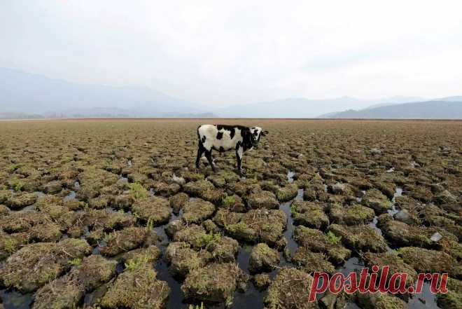 Засуха в Чили: срочно вводятся меры нормирования воды &bull; zabaka.net

Протокол для нормирования воды в чилийской столице Сантьяго был запущен столичным правительством из-за серьезной засухи, в которой живет Чили, и которая длится уже 13 лет. План, объявленный для столичного региона, где проживает почти половина населения (8 000 000 человек)