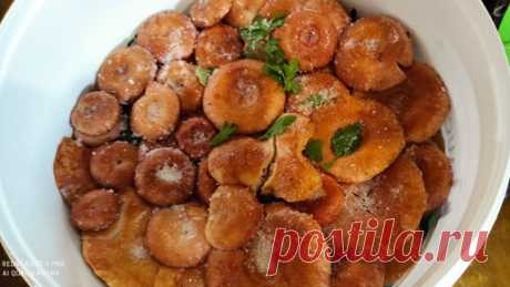 Посолила 🍄🍄грибы волнушки и рыжики. Сухой Посол. Спасибо🙏💕 моим любимым подписчикам | Антонина Позитивный фермер | Дзен