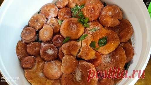 Посолила 🍄🍄грибы волнушки и рыжики. Сухой Посол. Спасибо🙏💕 моим любимым подписчикам | Антонина Позитивный фермер | Дзен