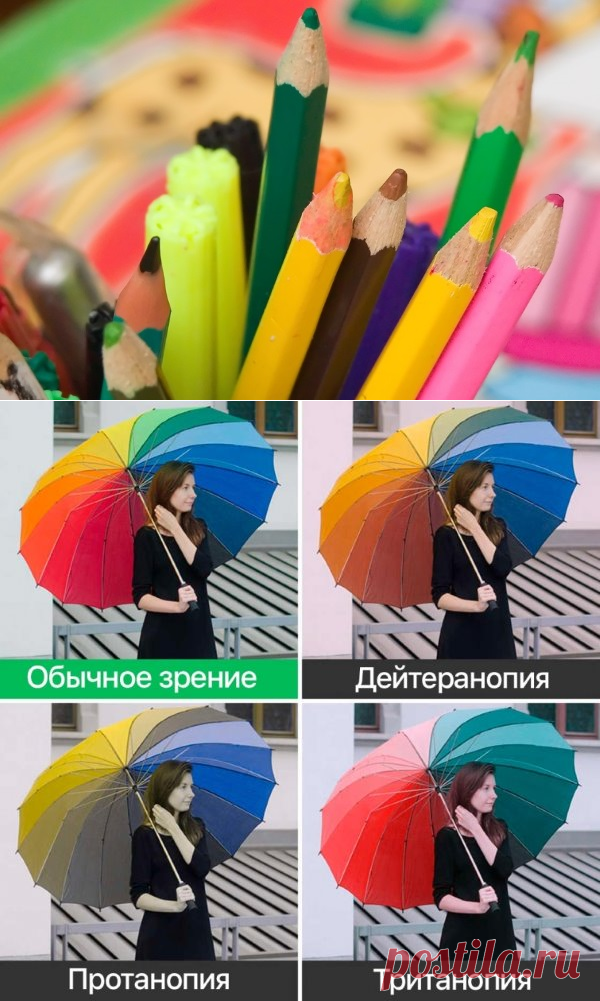 Дальтонизм: причины, симптомы, диагностика, лечение, виды, как видят дальтоники цвета, водительские права