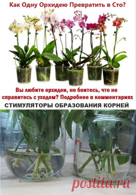 Одноклассники