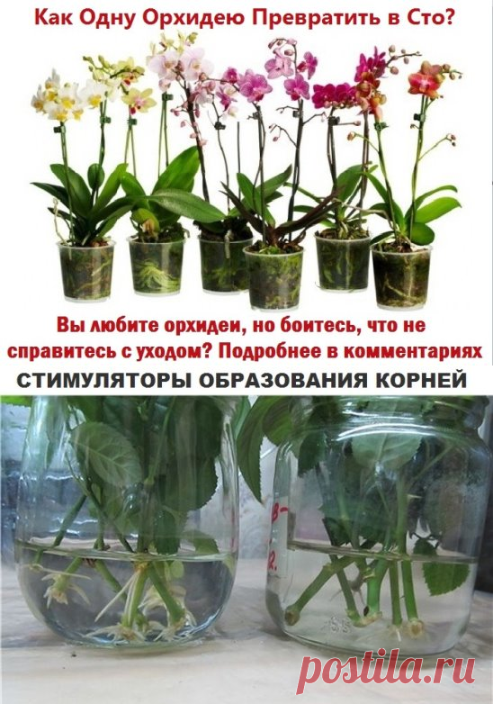 Одноклассники