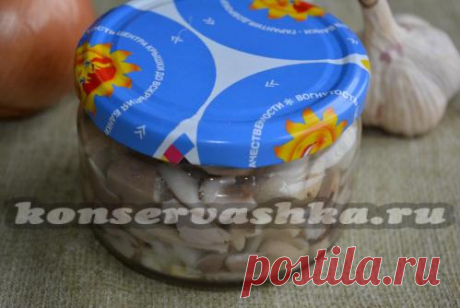 Вешенки, маринованные на зиму, рецепт