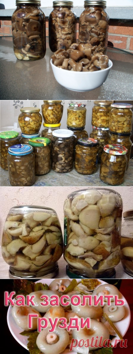 (65) Одноклассники