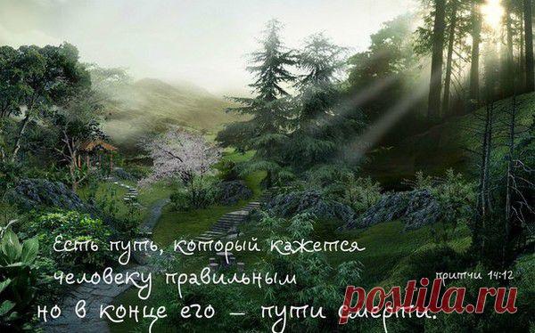 Мой Мир@Mail.Ru