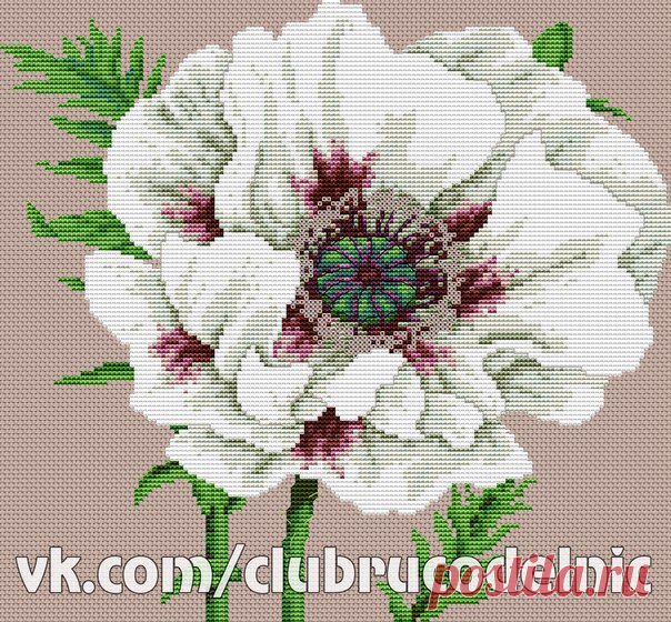 #Цветы@clubrucodelnic