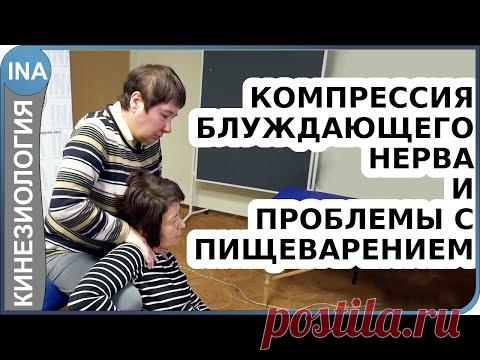 Компрессия блуждающего нерва и плохое пищеварение. Прикладная кинезиология Васильева - YouTube