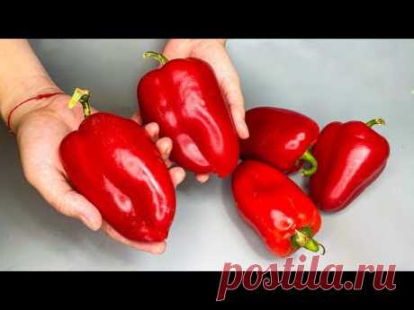 Свежий ПЕРЕЦ круглый год Без ВАРКИ и ЗАМОРОЗКИ! Супер способ Хранения БОЛГАРСКОГО ПЕРЦА!