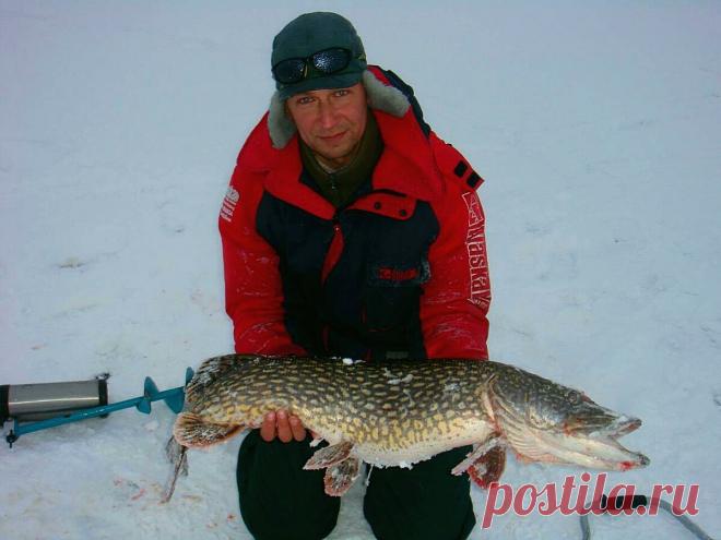 Готов на 100%! - какую леску и сколько метров поставить на жерлицу