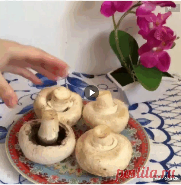 Любимые Рецепты