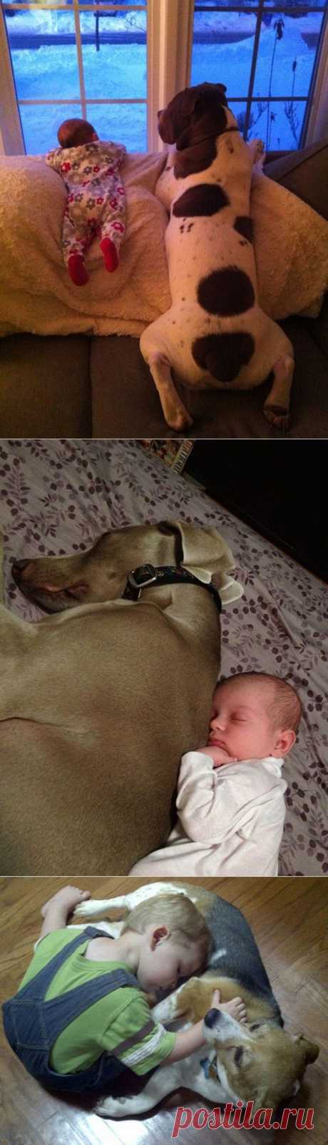 Особая связь: дети и собаки / Малютка