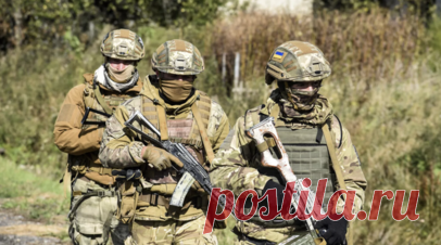 Politico: США призвали Украину реалистично оценить свою боеспособность. Американские власти призвали киевский режим реалистично оценить боеспособность Украины. Об этом пишет Politico. Читать далее