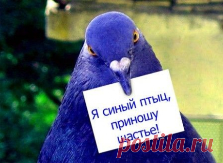 Золотые заповеди счастья! — Болтай