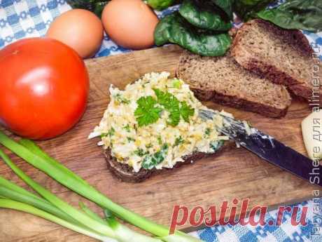Вкусный паштет из сыра и зелени / Рецепты с фото Сырные паштеты я очень люблю. Это одна из самых универсальных намазок на хлебец или кусочек черного хлебушка. Такой паштет отлично подходит и к чашечке утреннего кофе и к обеденном...