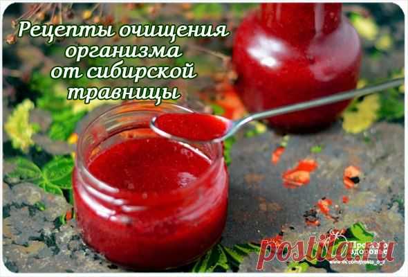 Рецепты очищения организма от А. М. Корепановой | Советы Народной Мудрости