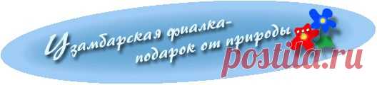 Эффект универсальный - минерльное удобрение