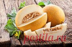 Что делать при отравлении дыней - отравление дыней, что делать при отравлении дыней