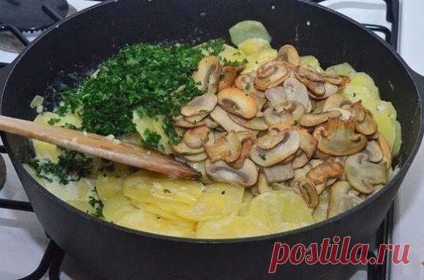 Картошка с грибами в сметане | Эфария