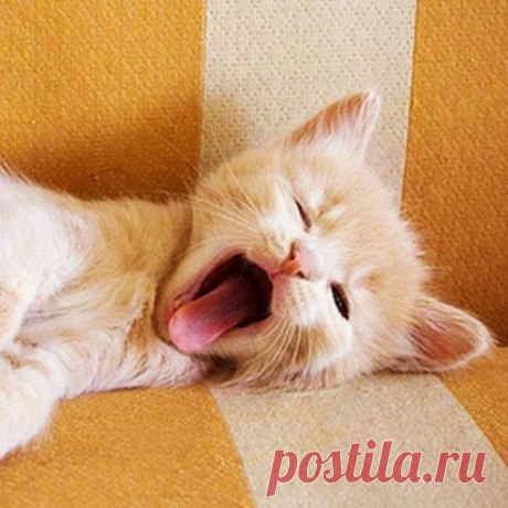 Доброе утро!