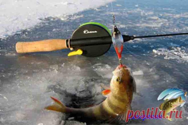 Как правильно ловить на блесну зимой Множество рыболовов по всему миру обожают рыбалку в зимний период, даже, несмотря на всевозможного рода плохие погодные условия и риск для своей жизни. При этом многие рыболовы весьма любят вылавли…