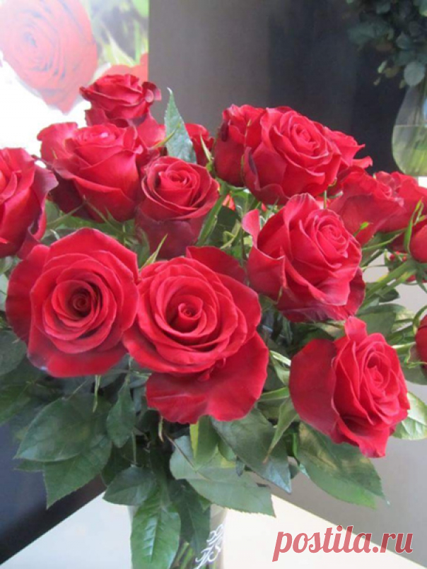 Я люблю ✿ ЦВЕТЫ ✿ | I ♥ Flowers