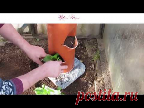 Вертикальная грядка / DIY с трубами