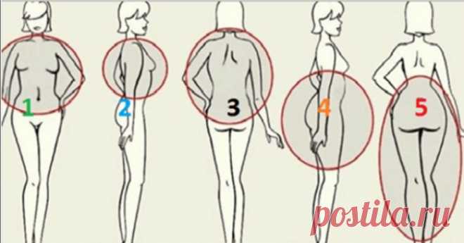 10 тайн похудения, о которых знают ученые, но никогда не расскажут диетологи.Потому что им это невыгодно. — Копилочка полезных советов