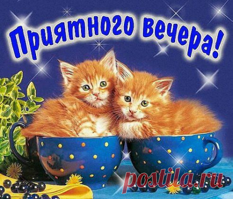 &quot;Открытки&quot; – Марина Савченко добавила фотографию в альбом Добрый вечер