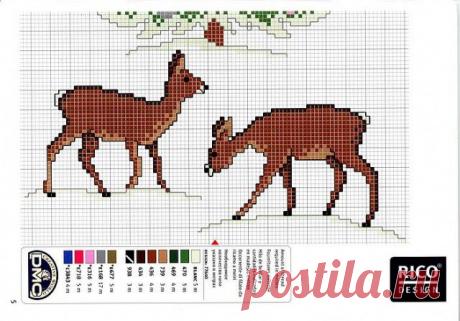 80051670_big_12.jpg (640×446)