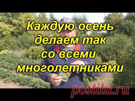 Осенняя обработка сада и многолетников - не поленитесь её сделать сейчас!