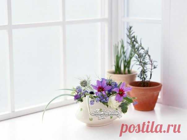 Чем отмыть пластиковый подоконник от пятен и загрязнений