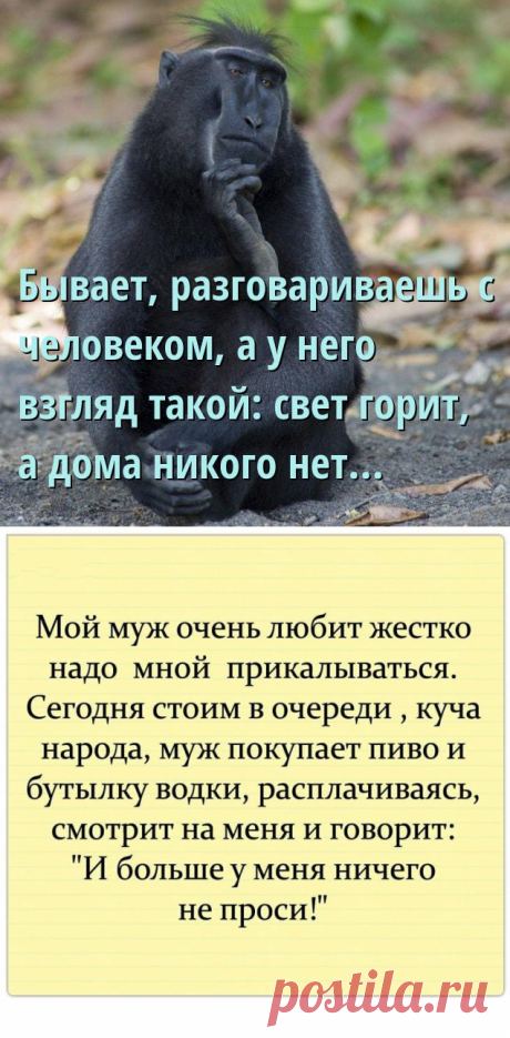 Шуточки и анекдоты в картинках, чтоб посмеяться от души