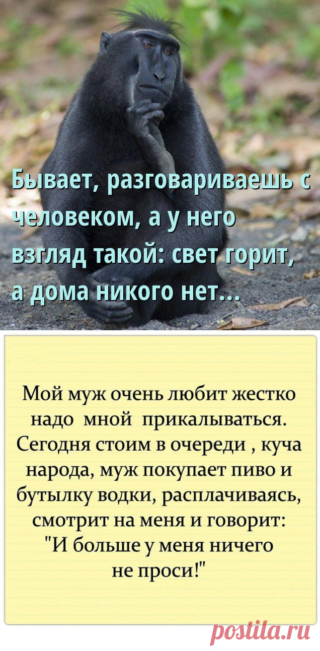 Шуточки и анекдоты в картинках, чтоб посмеяться от души