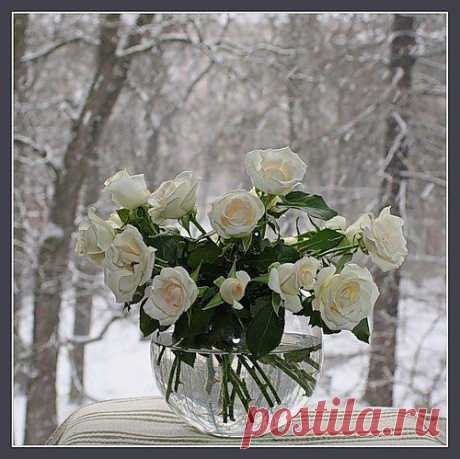 Белоснежная зима