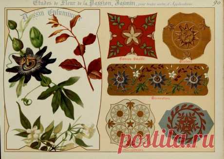 Fleurs d'après nature et fleurs ornementales : études de fleurs et feulliages avec diverses interprétations applicables à l'enluminure et à la décoration : Guillot, Ernest : Free Download, Borrow, and Streaming : Internet Archive
