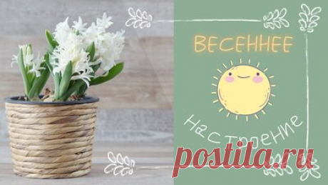 Весеннее настроение. Релакс под прекрасную музыку  — Смотреть в Эфире Весна! Релакс под прекрасную музыку для повышения настроения и самочувствия. Здоровья, красоты, уюта и гармонии вам. В каждый ваш день, в каждый ваш …