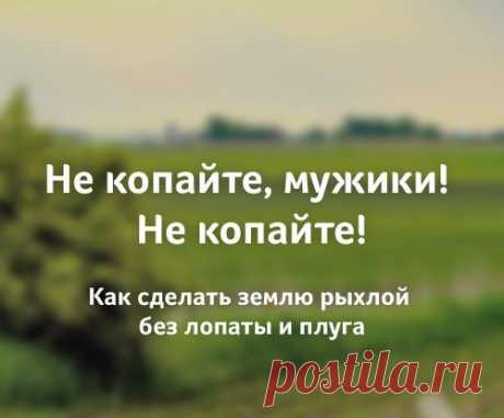 Не копайте, мужики! Не копайте!