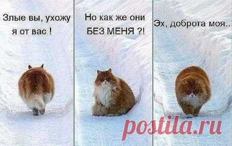 Сомнения