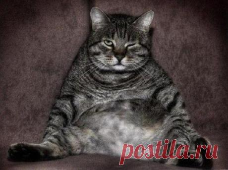 Галина Смирнова