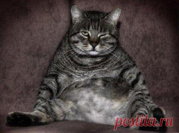 Галина Смирнова