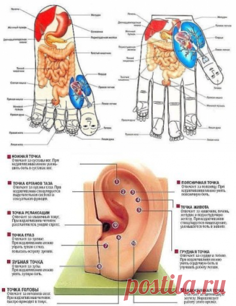 (90) Одноклассники