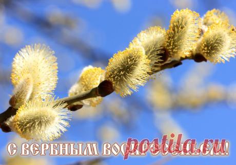 Открытки бесплатно | Минутта